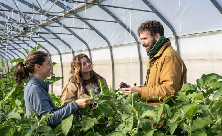entreprises employés compagnie lavalloise en entrepreneuriat collectif