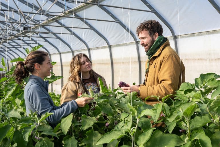 entreprises employés compagnie lavalloise en entrepreneuriat collectif